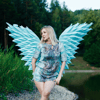 Blue angel wings.jpg