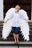 Props Angel wings adult.jpg