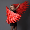 red wings art, bird with red wings,.jpg