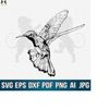 MR-41020232031-hummingbird-svg-hummingbird-clipart-hummingbird-vector-image-1.jpg