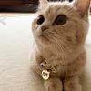 chain Cat Collar.JPG