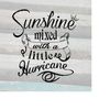 MR-510202382634-sunshine-mixed-with-a-little-hurricane-vectorraster-svg-png-image-1.jpg