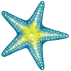 Starfish (1).png