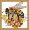 Bee With Honeycomb 2.jpg