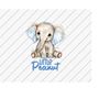 MR-11102023223752-little-peanut-png-baby-elephant-cute-baby-clothes-png-baby-image-1.jpg