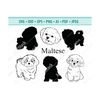 MR-12102023185222-maltese-svg-maltese-silhouettes-maltese-dog-breeds-svg-image-1.jpg