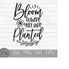 MR-24102023194022-bloom-where-you-are-planted-instant-digital-download-svg-image-1.jpg