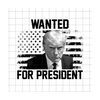 2510202384336-wanted-for-president-png-official-trump-mugshot-mugshot-image-1.jpg