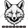 fox imv.jpg