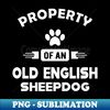 CP-20231102-20549_Old English Sheepdog - Property of an old english sheepdog 6089.jpg