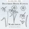 Presentation NarcissusМонтажная область 1.jpg