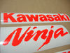 kawasaki-zx6r-ninja-custom-fluo-red-graphics-set.JPG