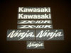 Kawasaki-ninja-zx10r-reflective-white-stickers.JPG