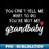 GZ-20231106-8934_Grandbaby Gift - You Cant Tell Me What To Do Youre Not My Grandbaby 1725.jpg