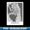 MY-20231109-24606_Tampico Pencil Map Print Tampico City Pencil Street Map 1171.jpg