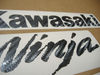 kawasaki-zx6r-ninja-custom-carbon-stickers.JPG