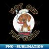 AQ-20231113-3490_Cute Doxie Dog grilling a wiener on the grill on Dachshund Grilling Wieners 7091.jpg