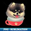 ZE-20231117-22288_Lovely Pink Teacup Pomeranian Puppy National Dog Day with Cute Baby Teacup Pomeranian 2787.jpg