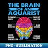 ZI-20231118-4947_Brain of a Aquarist for a Fish Aquarium 8038.jpg
