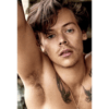 2019 harry  .png