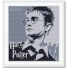 Harry_Potter_e5.jpg
