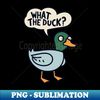 WB-20231120-91519_What The Duck 2876.jpg