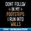 GB-20231121-20196_dont follow in my footsteps i run into walls 9399.jpg