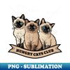 ZC-20231121-60934_Siamese Cats Hungry Club 5809.jpg