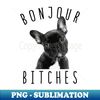 IW-20231122-5330_Bonjour Bitches T Funny French Bulldog Dog Lover  0031.jpg