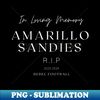 BL-35359_RIP AMARILLO SANDIES 2044.jpg