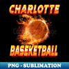 CE-56095_Vintage Basketball Colorful Charlotte Beautiful Name Teams 8019.jpg