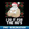 FH-22112_I Do It For The Ho's Funny Inappropriate Christmas Men Santa  1773.jpg