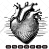 heart imv.jpg
