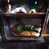 Miniature coffin, Potion Closet, BookShelf Box, Diorama,Creepy decor, Horror, Dark Art, Halloween, Gothic Roombox (4).jpg