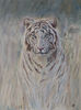 tiger_painting.jpg