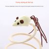 uo8TCat-Scratching-Amusement-Plate-Plush-Spring-Plate-Playing-Cat-Toy-Mouse-Spiral-Steel-Wire-Spring-Linen.jpg