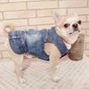 u0FpXS-2XL-Denim-Dog-Clothes-Cowboy-Pet-Dog-Coat-Puppy-Clothing-For-Small-Dogs-Jeans-Jacket.jpg
