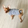 J6zEKnitted-Clothes-For-Dogs-Chihuahua-Sweater-For-Small-Dogs-Winter-Clothes-For-Sphinx-Cat-Dog-Sweater.jpg