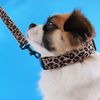 gMlmPersonalized-Leopard-Green-Field-Pet-Collar-Camouflage-Nylon-Printed-Dog-Collar-Free-Engraved-ID-Leash-Set.jpg