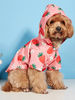 xfNSCartoon-Pet-Dog-Raincoat-Waterproof-Hooded-Jumpsuit-For-Small-Dogs-Summer-Outdoor-Puppy-Dog-Rain-Coat.jpg
