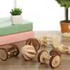 rL45Cute-Rabbit-Roller-Toys-Natural-Wooden-Pine-Dumbells-Unicycle-Bell-Chew-Toys-for-Guinea-Pigs-Rat.jpg