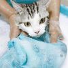 FPgBNew-Mesh-Cat-Grooming-Bathing-Bag-Pet-Adjustable-Cats-Washing-Bags-For-Pet-Nail-Trimming-Injecting.jpg