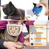 GtKqCat-Anti-Bite-Muzzles-Breathable-Cat-Travel-Tools-Bath-Beauty-Grooming-Supplies-Cat-Kitten-Muzzles-Mask.jpeg