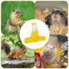 AQcOHamster-Water-Bottle-Small-Animal-Accessories-Automatic-Feeding-Device-Food-Container-Pet-Drinking-Bottles-Hamster-Accessories.jpg