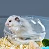 73m2Hamster-Bathroom-Transparent-Hamster-Mouse-Pet-Toilet-Cage-Box-Bath-Sand-Room-Toy-House-Small-Pet.jpg