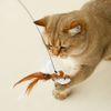 Ln78Handfree-Bird-Feather-Cat-Wand-with-Bell-Powerful-Suction-Cup-Interactive-Toys-for-Cats-Kitten-Hunting.jpg
