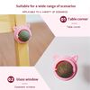 pDw3Catnip-Wall-Ball-Cat-Toys-Pet-Toys-For-Cats-Clean-Mouth-Promote-Digestion-Kittens-Mint-Licking.jpg