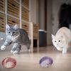 1fZMCat-Toy-Balls-Funny-Stretchable-Kitten-Springs-Toys-Interactive-Caged-Rats-Rolling-Cat-Balls-Random-Color.jpg