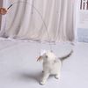 rQkFCat-Toy-Funny-Cat-Toys-Interactive-Self-Hi-Feather-Toys-for-Cats-Tease-Bite-Resistant-Cats.jpg