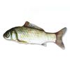 Cpyy20CM-Pet-Cat-Toy-Fish-Built-In-Cotton-Battery-Free-Ordinary-Simulation-Fish-Cat-Interactive-Entertainment.jpg
